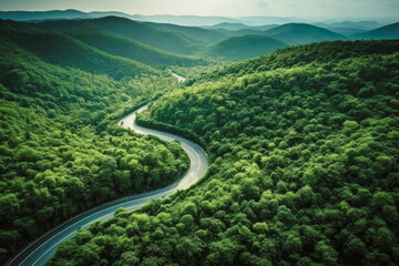 Fototapeta premium Aerial top view mountain road in dark green forest