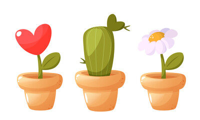 Vector image of domestic unusual plants. Heart shaped cactus, heart shaped plant, chamomile. Set of plants. The illustration is suitable for the design of cards, valentines, posters, children's books.