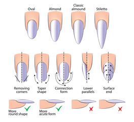 Illustration of a manual for creating an oval-shaped manicure for hardware training in vector
