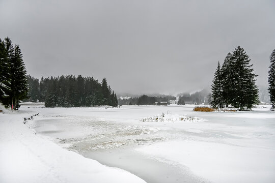 Lenzerheide, Valbella, Heidsee, Bergsee, Uferweg, Wanderweg, Winterwanderung, Langlauf, Loipe, Winterlandschaft, Seeufer, Alpen, Wald, Tannen, Eis, Winter, Graub&uuml;nden, Schweiz