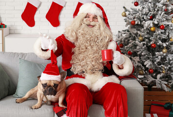 Santa Claus with cup of tea and cute French bulldog in hat at home on Christmas eve