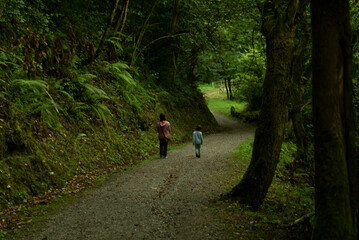 camino juntas