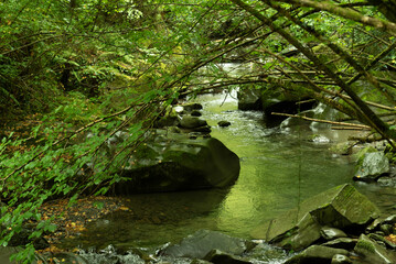 rio asturiano