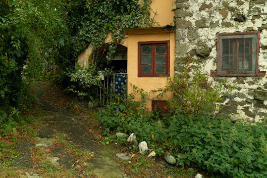 casa bosque
