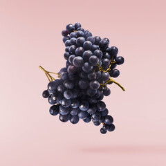 Fresh organic Blue Grape and green fresh leaves falling in the air