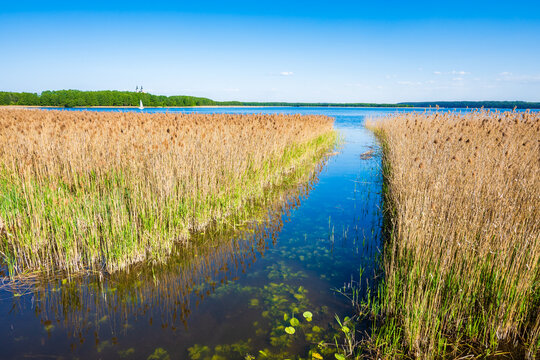 View of Wigry lake near Stary Folwark village, Wigry National Park, Podlasie, Poland