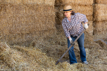Naklejka na ściany i meble Professional european mature woman farmer working on hayloft at cow farm