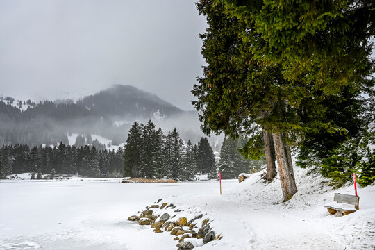 Lenzerheide, Valbella, Heidsee, Bergsee, Uferweg, Wanderweg, Winterwanderung, Holzbank, Winterlandschaft, Seeufer, Alpen, Wald, Tannen, Eis, Winter, Graub&uuml;nden, Schweiz