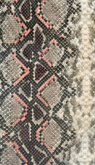 Snake skin leather textured reptile print. Pyton animal leather background.