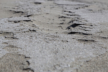 Fototapeta na wymiar Close up of coarse sand on a windy day on Oregon's Public Coast.