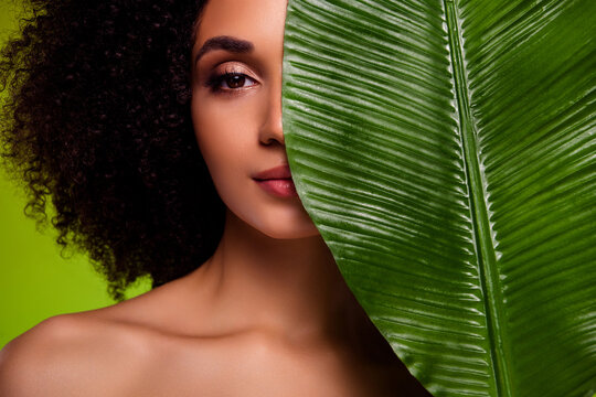 Photo of attractive aesthetic girl close face with large exotic tropical leaf advertising alternative cosmetology