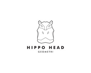 hippo geometri