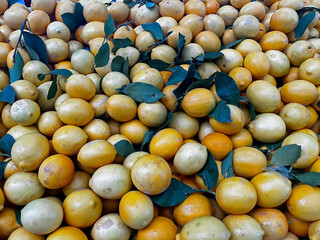 Yellow lemons on the stall at the local market.