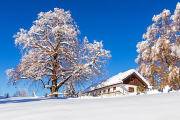 Allgäu - Alpe - Hütte - Winter - Tiefschnee - Dezember