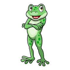 Cute frog cartoon on white background