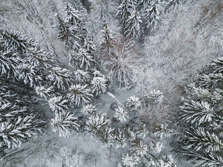 Photo background of a winter mixed snow-covered forest taken from a drone.