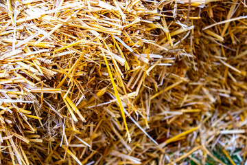 Hay background. Haystacks background, texture. Wheat gold hay in field. Hay prepared for farm animal feed in winter. Stacks dry hay open air fiel. Straw bale harvesting.