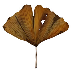 Design a Ginkgo leaves with an autumn theme.