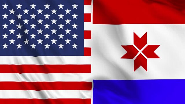 USA and Mordovia Flag Loop