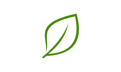 green leaf icon