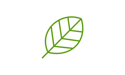 green leaf isolated