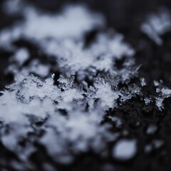 Macro shot of snowflakes on a black background. Shallow depth of field.