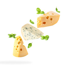 Different kinds of cheese and basil falling on white background
