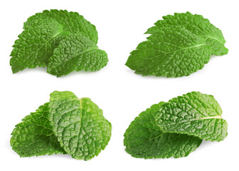 Many fresh mint leaves isolated on white