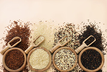 Colorful mix of quinoa grain varieties in wooden spoons, gluten free ancient grain for healthy diet