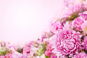Delicate blooming festive asters and chrysanthemums, blossoming pink summer flowers bright background, bouquet floral card, selective focus