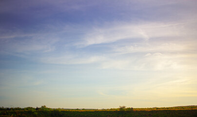 Natural beauty of this landscape photo with a blue sky and green fields.