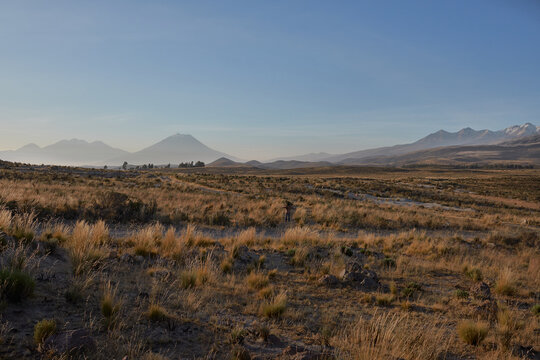 View at sunset of the Misti and Chachani volcanoes in the distance, photo taken from the San Jose Lagoon, Arequipa.