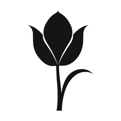 A Tulip Flower Vector Silhouette isolated on a white background