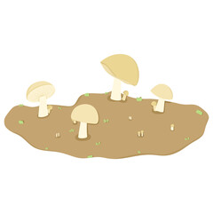 Mushrooms drawing
