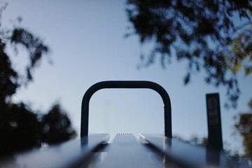 winter in the park perpective