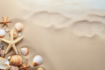 Fototapeta na wymiar Starfish and shells on beach sand background with copy space, top view, flat lay