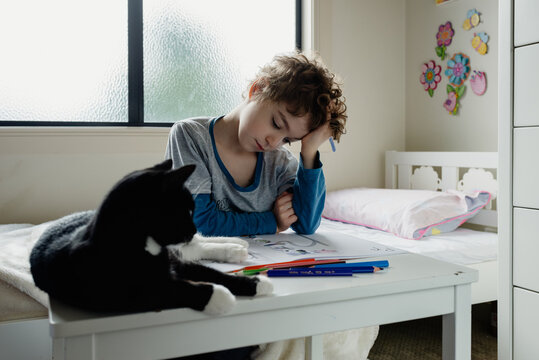 Young boy in his bedroom pushes on through afternoon fatigue as he completes his Prep lesson for remote learning with his newly adopted kitten during covid-19 lockdown, Victoria, Australia; May 2020