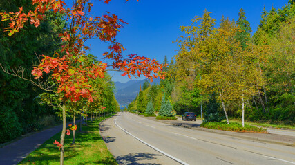 Vivid Fall colors on trees lining road on Burnaby Mountain, BC, with sea and mountain backdrop.