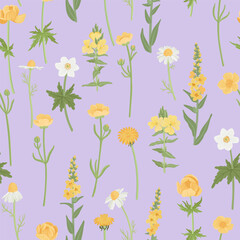 seamless pattern with yellow field flowers, vector drawing wild flowering plants at lilac background, floral ornament, hand drawn botanical illustration