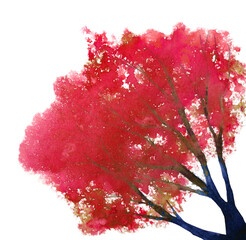 watercolor abstract painting  tree autumn season.red leaf png. - 691253561