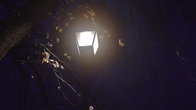 Christmas lantern street light glows as winter snow falls at night