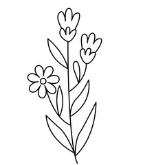 Floral and Flower Line Art Design, Minimalist Plant Illustration