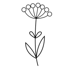 Floral and Flower Line Art Design, Minimalist Plant Illustration