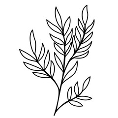 Floral and Flower Line Art Design, Minimalist Plant Illustration