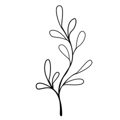 Floral and Flower Line Art Design, Minimalist Plant Illustration