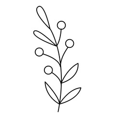 Floral and Flower Line Art Design, Minimalist Plant Illustration
