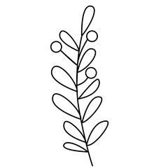 Floral and Flower Line Art Design, Minimalist Plant Illustration