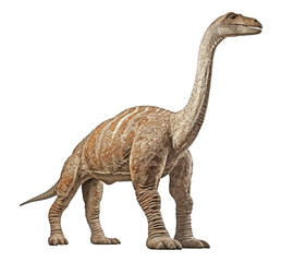 Obraz premium portrait of ancient animal, brontosaurus dinosaur on transparent background, generative ai