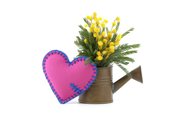 Heart shaped pillow next to yellow mimosa flowers
