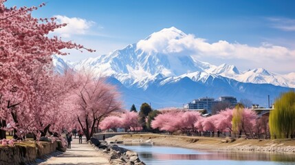 landscape picture of Mount Everest area with blooming pink Sakura or Cherry blossom beside clear river at Japan. - obrazy, fototapety, plakaty